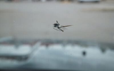 How to Protect Your Windshield from Gravel and Debris on I-5